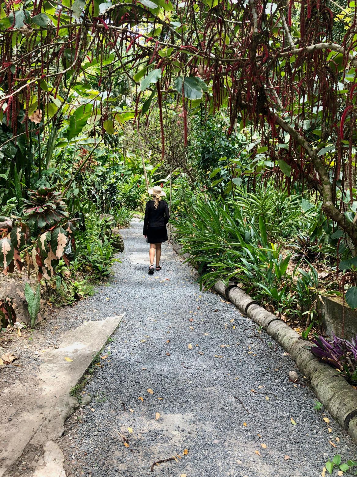 Diamond Botanical Garden St. Lucia